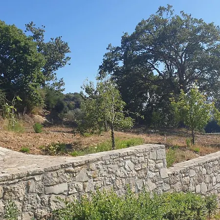 Nelia Ρέθυμνο